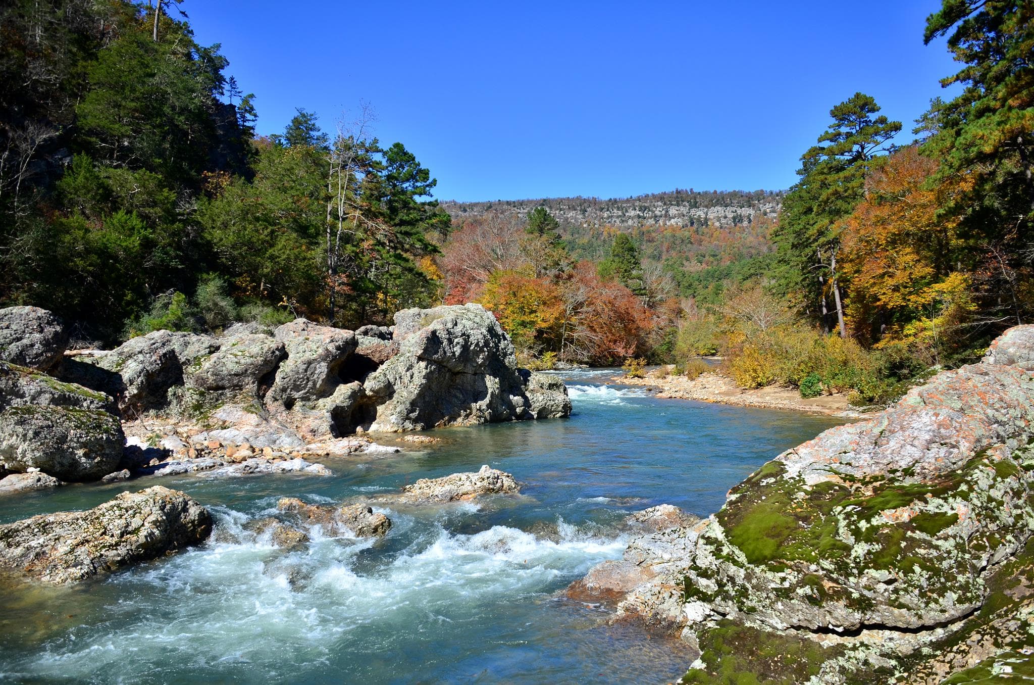 Fishing, tailwater access, and a quieter side of the Lake Greeson trip.